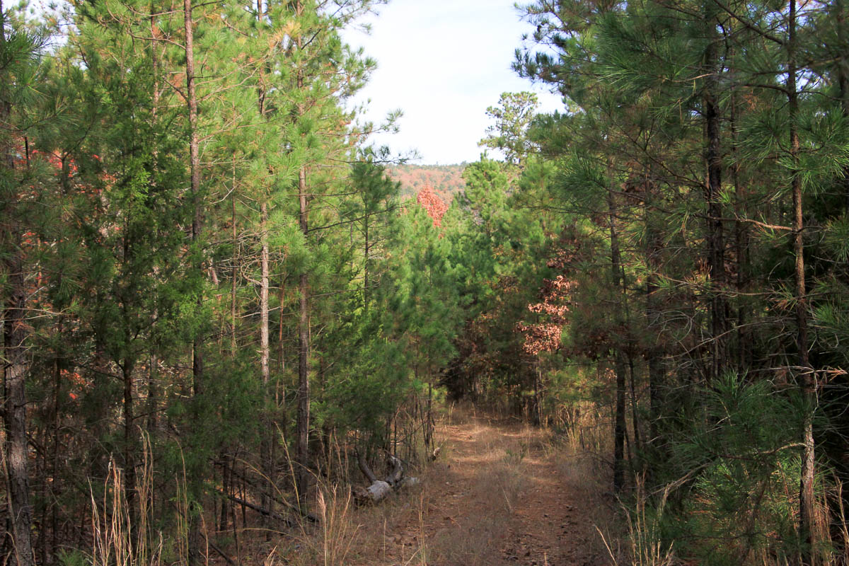 Tract 1 at Stone Creek Phase III in Latimer County, Oklahoma
