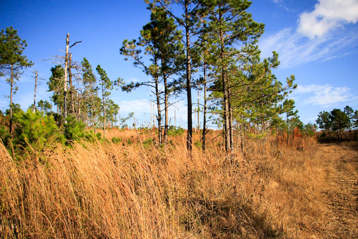 Tract 14 at Stone Creek Phase III in Latimer County, Oklahoma