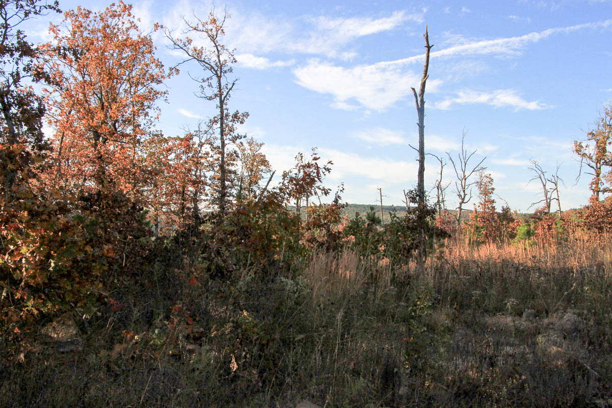 Tract 18 at Stone Creek Phase III in Latimer County, Oklahoma