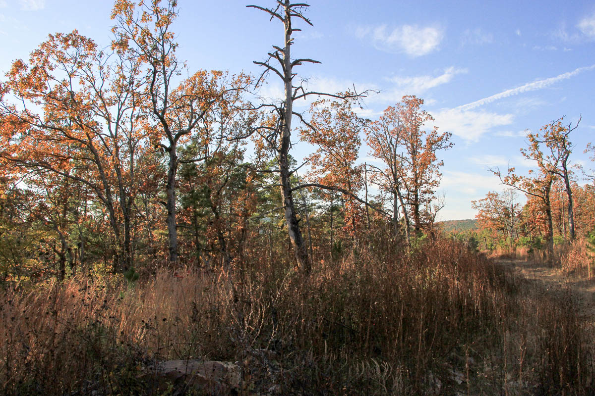 Tract 19 at Stone Creek Phase III in Latimer County, Oklahoma