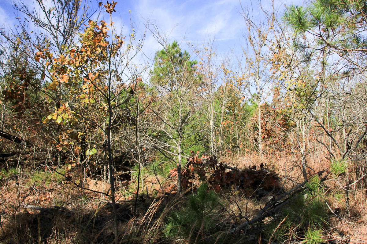 Tract 2 at Stone Creek Phase III in Latimer County, Oklahoma