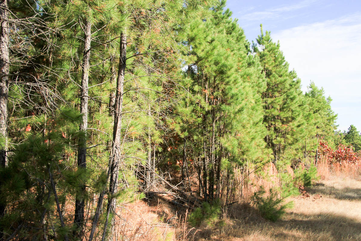 Tract 26 at Stone Creek Phase III in Latimer County, Oklahoma