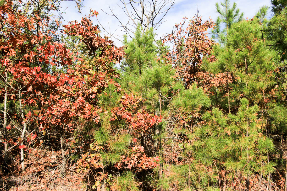Tract 3 at Stone Creek Phase III in Latimer County, Oklahoma