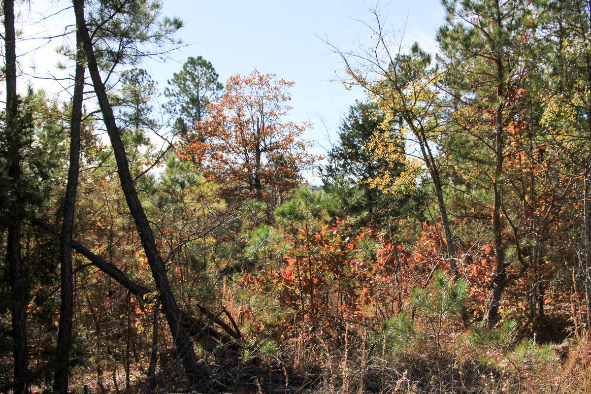 Tract 31 at Stone Creek Phase III in Latimer County, Oklahoma