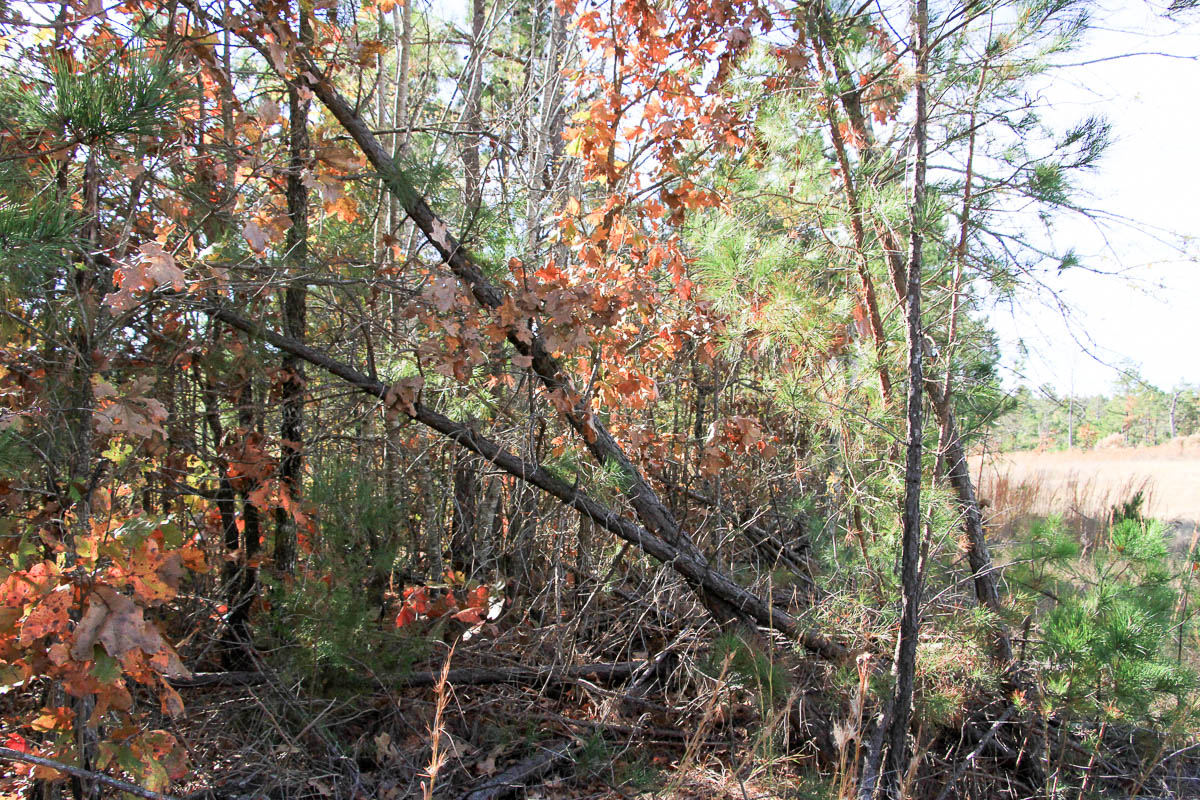 Tract 32 at Stone Creek Phase III in Latimer County, Oklahoma