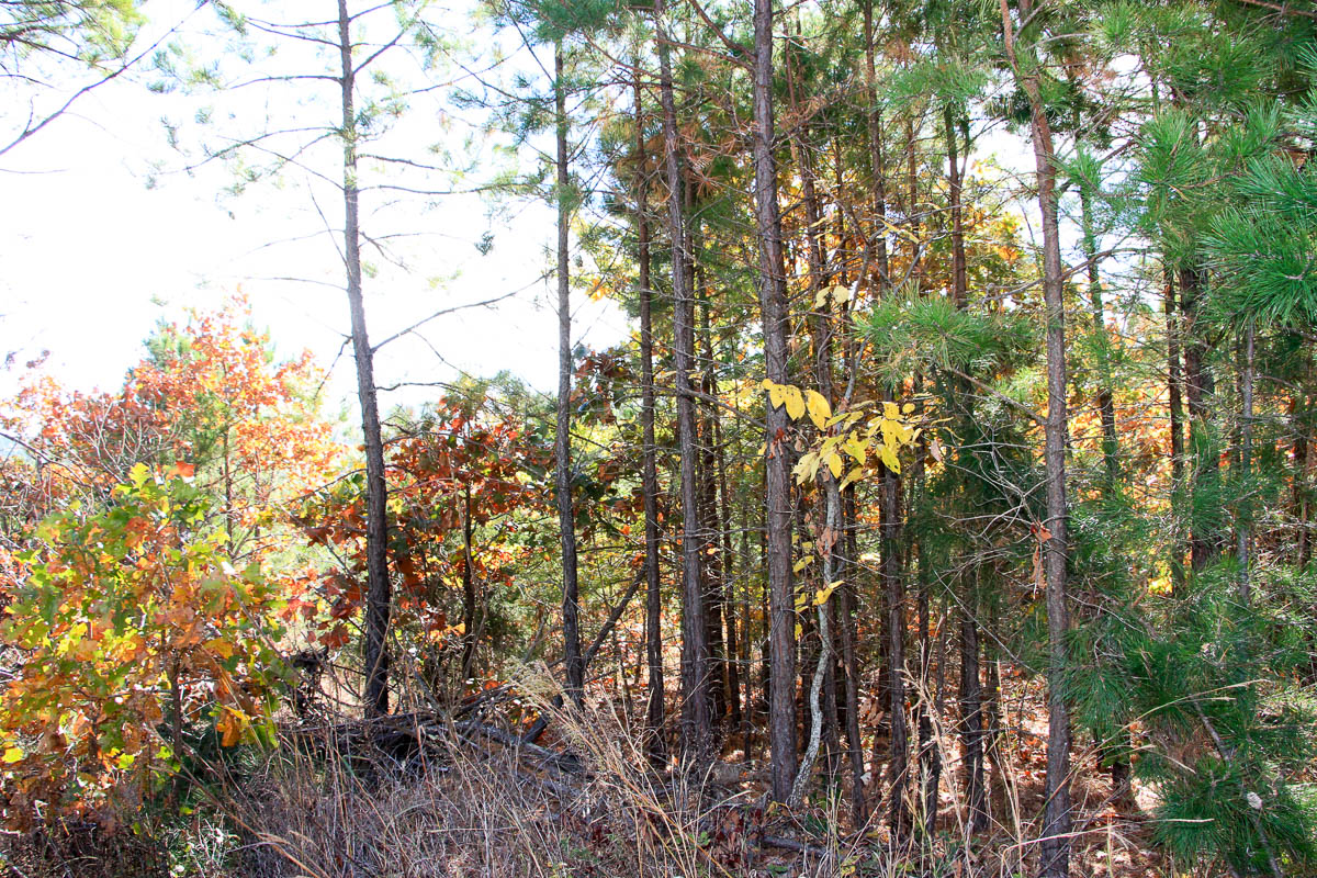 Tract 33 at Stone Creek Phase III in Latimer County, Oklahoma