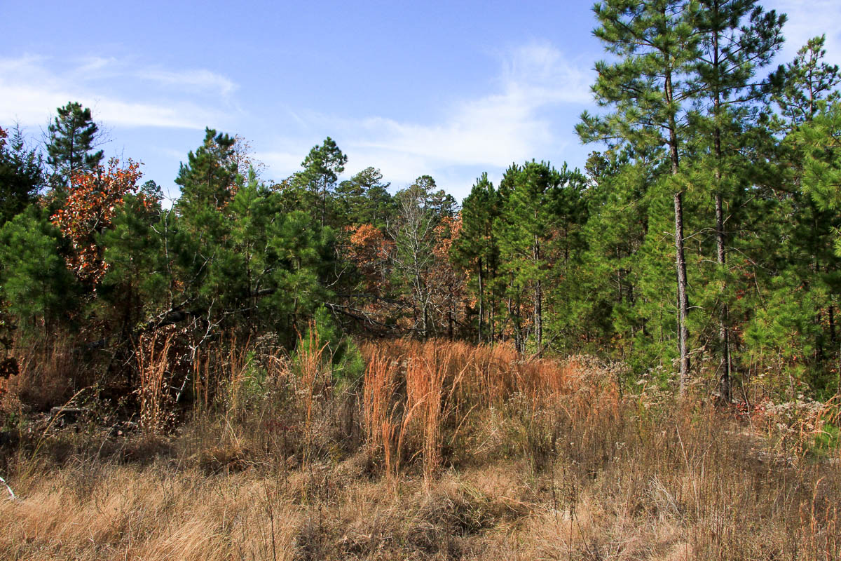 Tract 34 at Stone Creek Phase III in Latimer County, Oklahoma