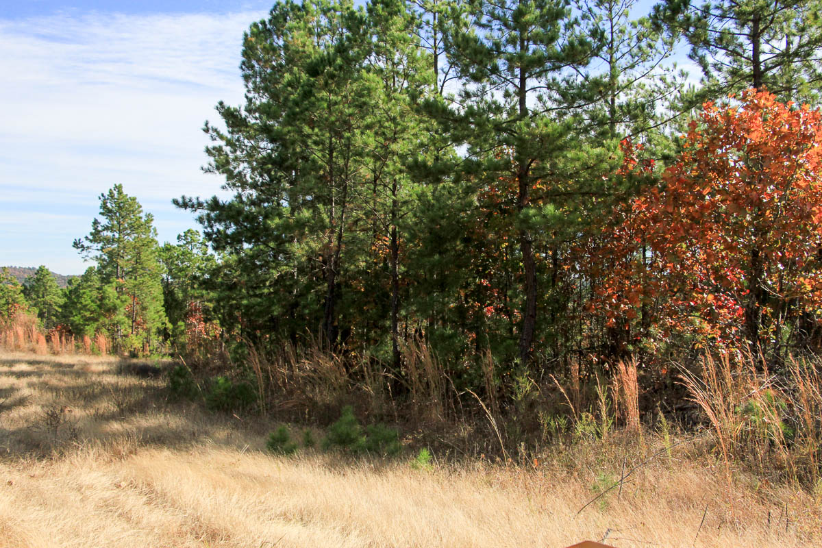 Tract 35 at Stone Creek Phase III in Latimer County, Oklahoma