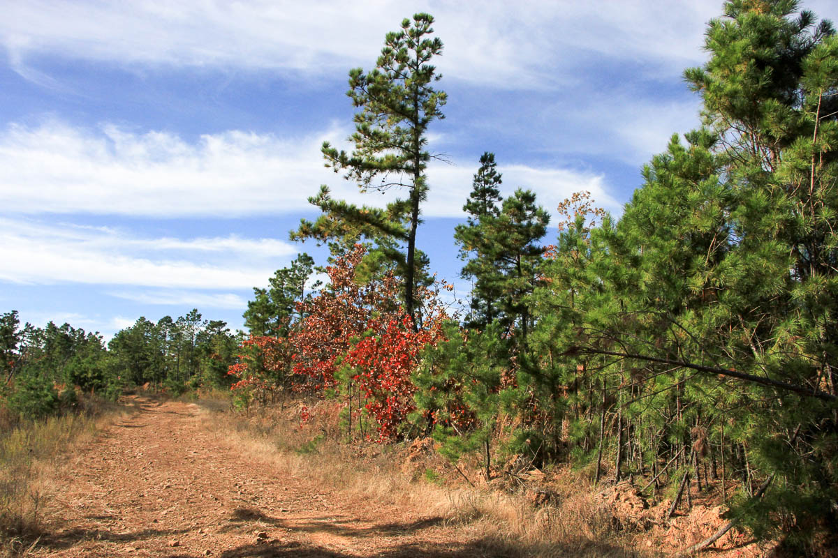 Tract 36 at Stone Creek Phase III in Latimer County, Oklahoma