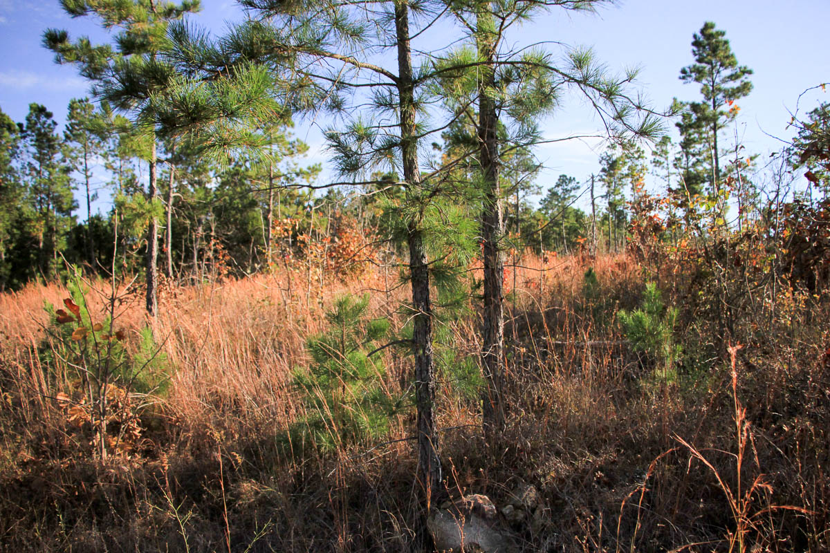 Tract 37 at Stone Creek Phase III in Latimer County, Oklahoma
