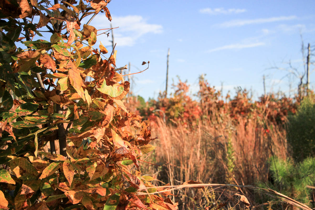 Tract 38 at Stone Creek Phase III in Latimer County, Oklahoma