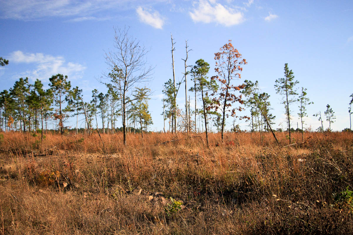 Tract 39 at Stone Creek Phase III in Latimer County, Oklahoma