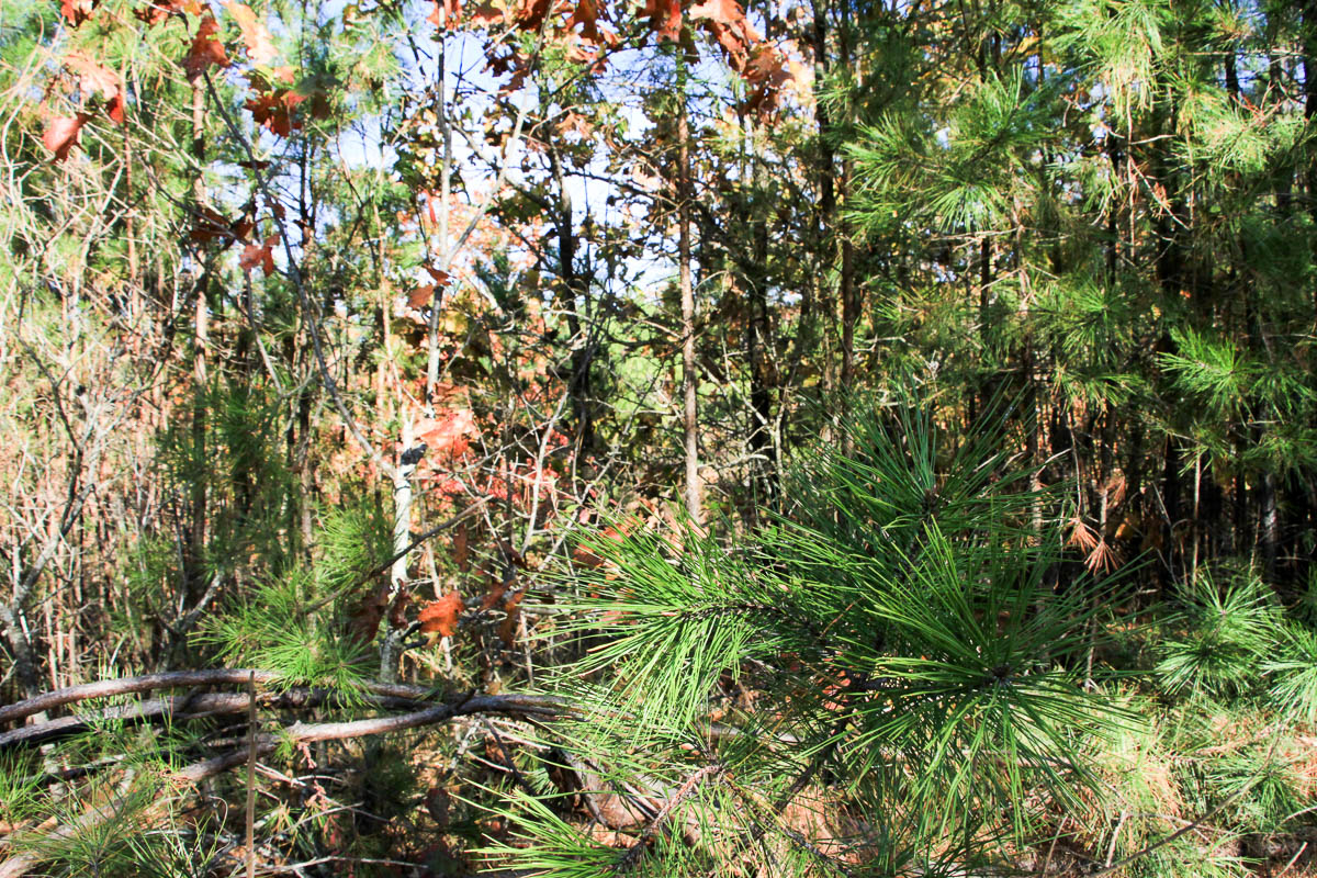 Tract 4 at Stone Creek Phase III in Latimer County, Oklahoma