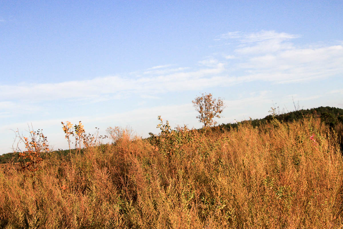 Tract 40 at Stone Creek Phase III in Latimer County, Oklahoma