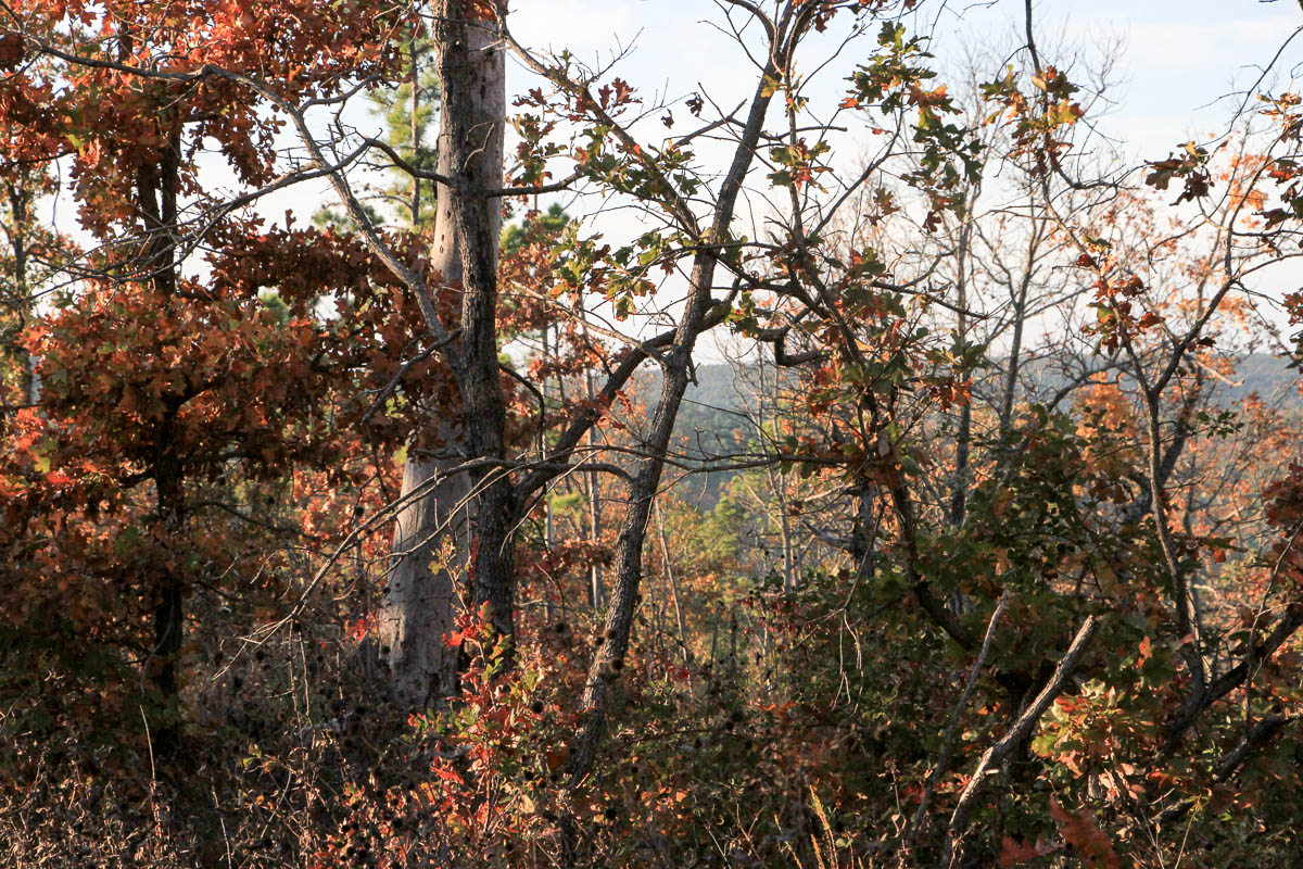 Tract 41 at Stone Creek Phase III in Latimer County, Oklahoma