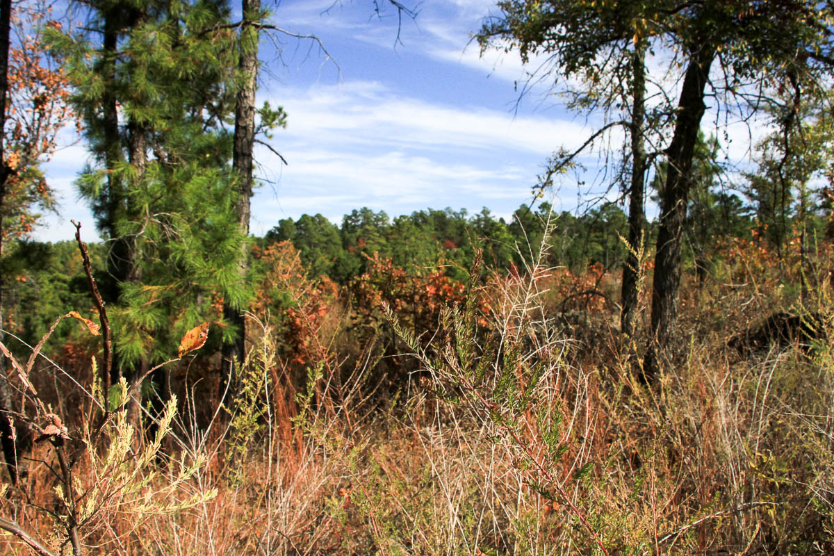 Tract 44 at Stone Creek Phase III in Latimer County, Oklahoma