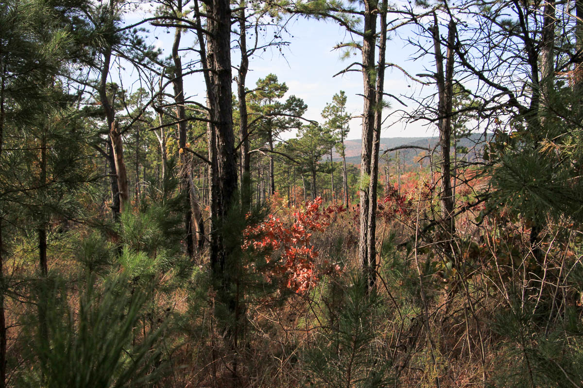 Tract 45 at Stone Creek Phase III in Latimer County, Oklahoma