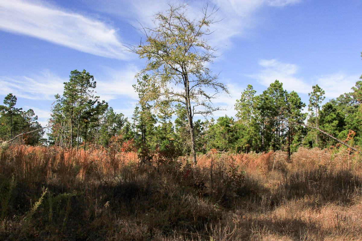 Tract 46 at Stone Creek Phase III in Latimer County, Oklahoma