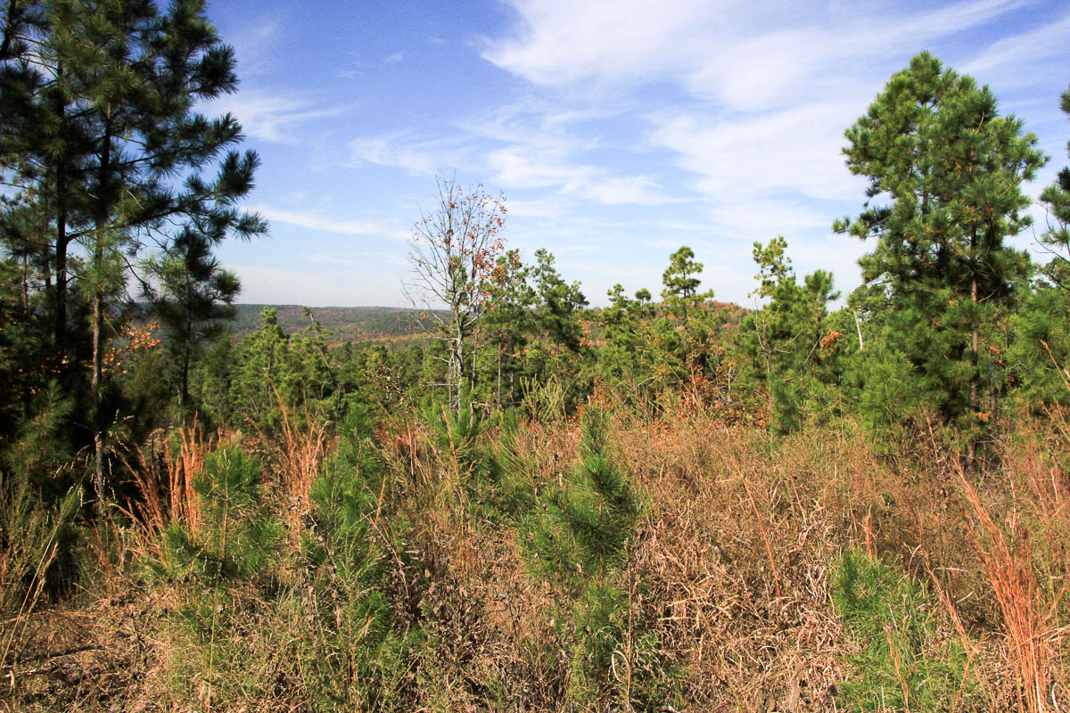 Tract 47 at Stone Creek Phase III in Latimer County, Oklahoma