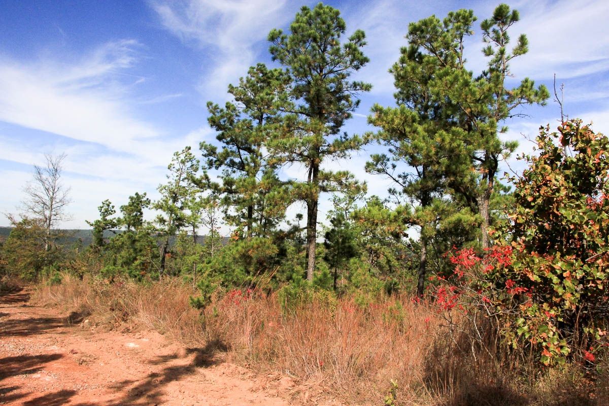 Tract 48 at Stone Creek Phase III in Latimer County, Oklahoma