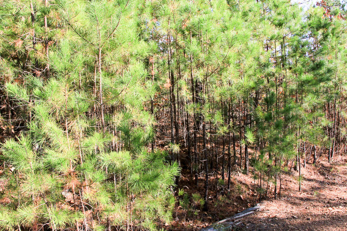 Tract 5 at Stone Creek Phase III in Latimer County, Oklahoma