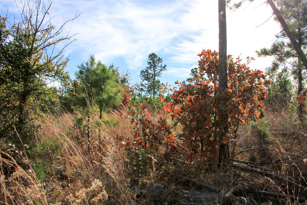 Tract 51 at Stone Creek Phase III in Latimer County, Oklahoma