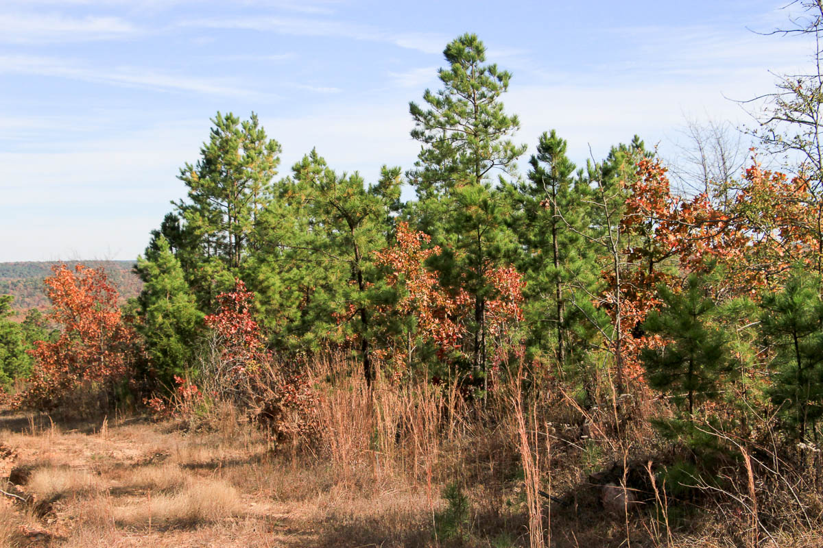 Tract 52 at Stone Creek Phase III in Latimer County, Oklahoma