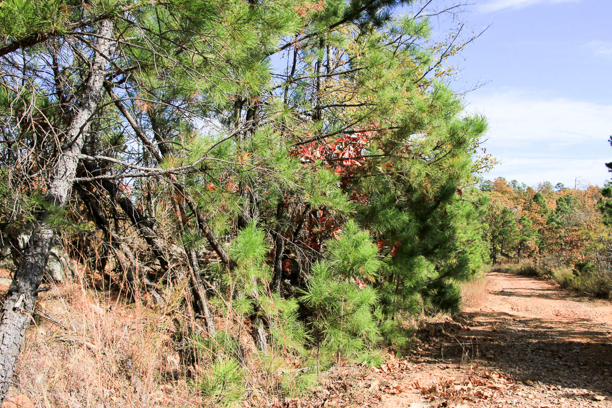 Tract 53 at Stone Creek Phase III in Latimer County, Oklahoma