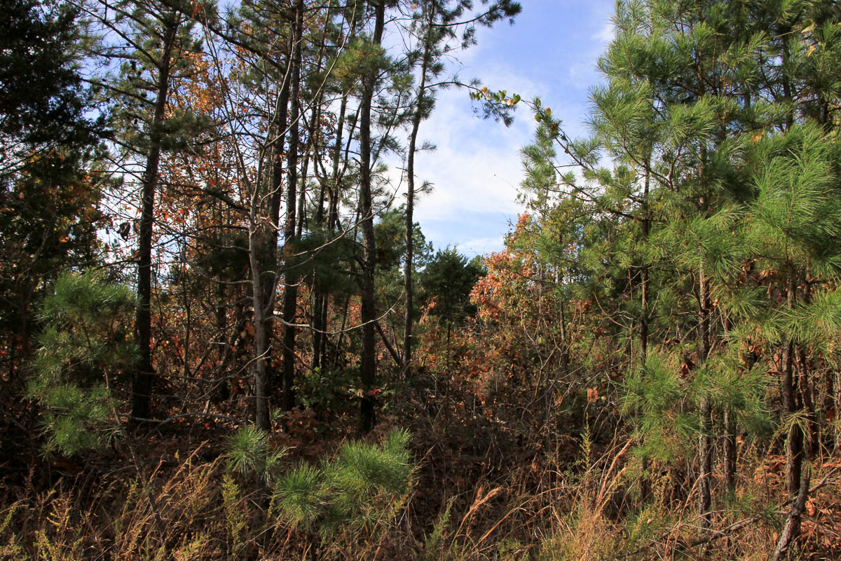 Tract 54 at Stone Creek Phase III in Latimer County, Oklahoma