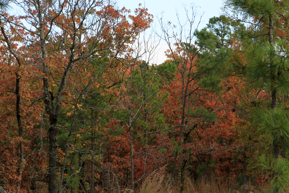 Tract 59 at Stone Creek Phase III in Latimer County, Oklahoma