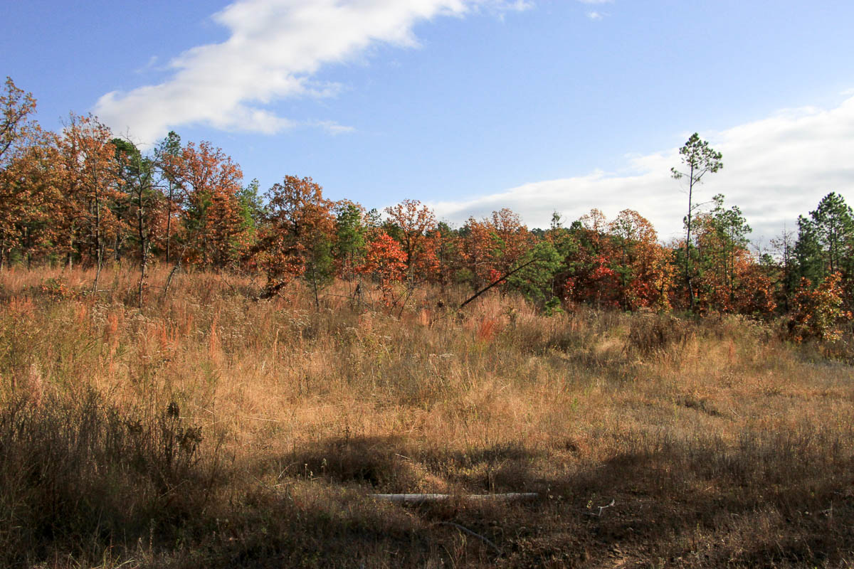 Tract 60 at Stone Creek Phase III in Latimer County, Oklahoma