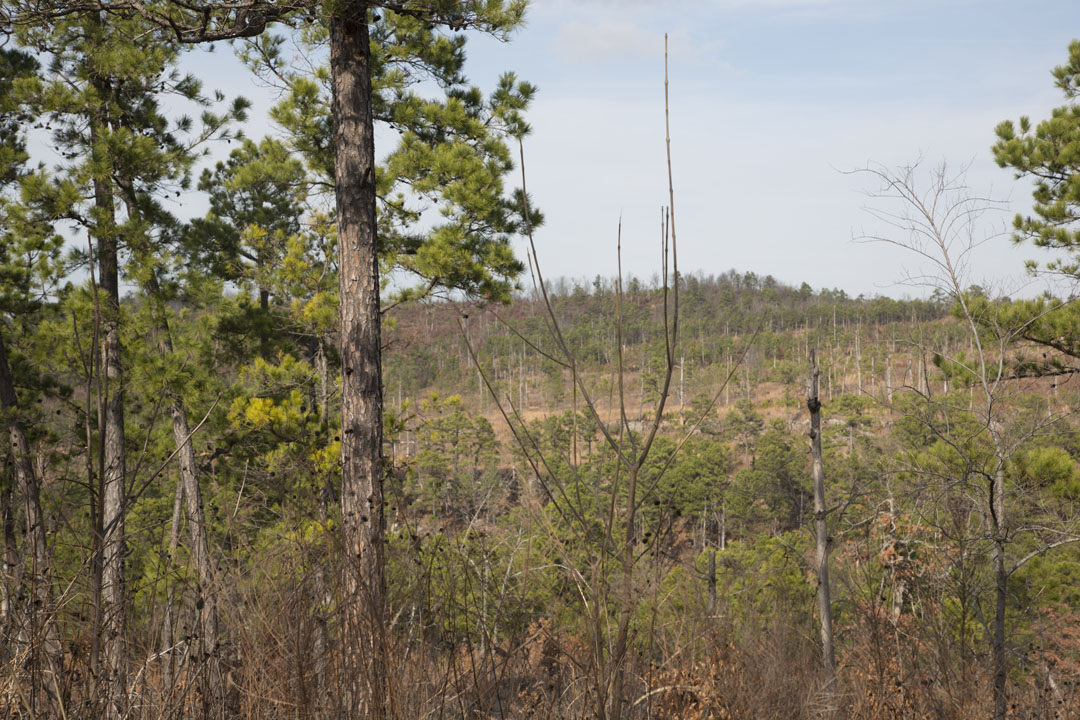 Tract 72 at Stone Creek Phase III in Latimer County, Oklahoma
