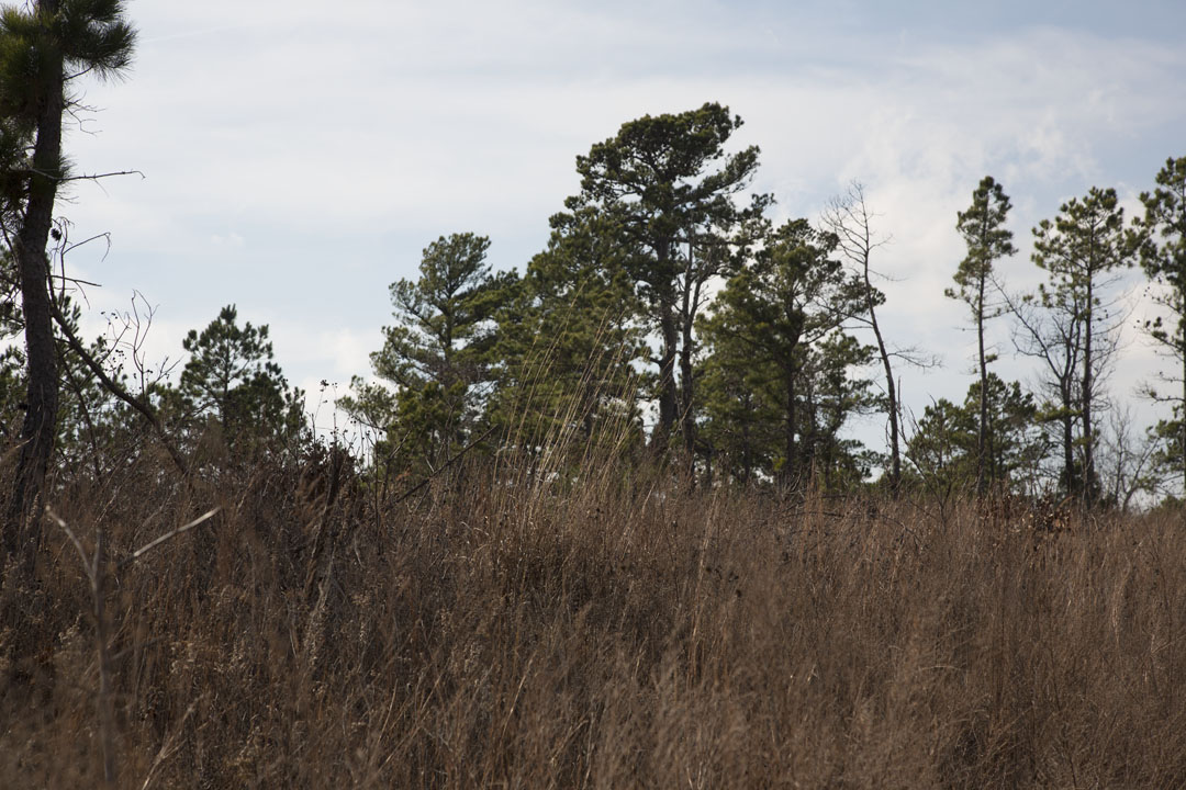 Tract 74 at Stone Creek Phase III in Latimer County, Oklahoma