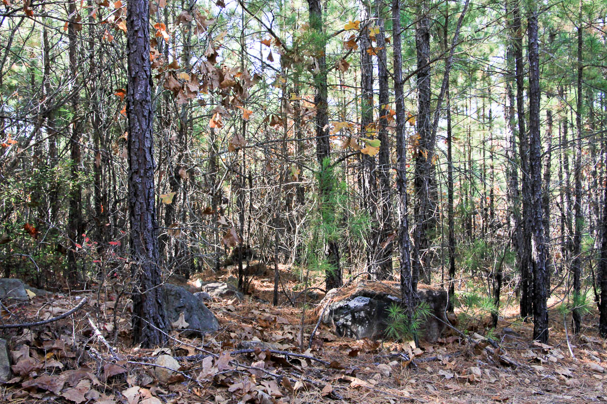 Tract 8 at Stone Creek Phase III in Latimer County, Oklahoma
