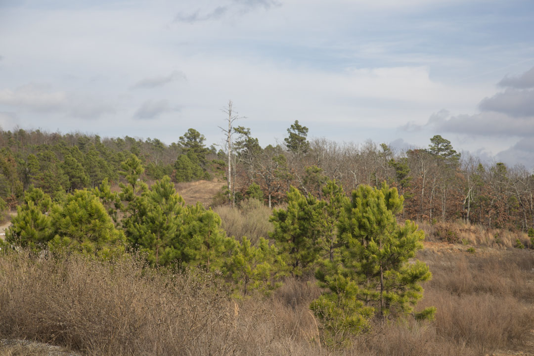 Tract 80 at Stone Creek Phase III in Latimer County, Oklahoma