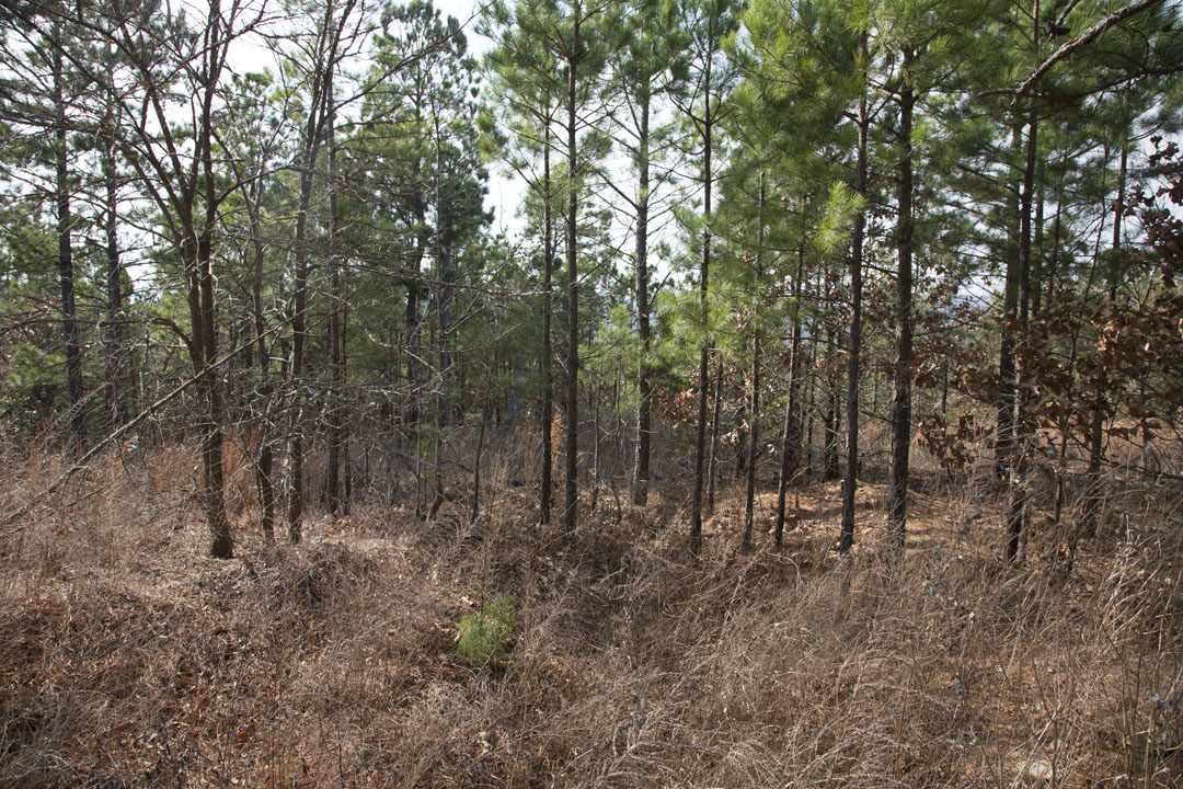 Tract 85 at Stone Creek Phase III in Latimer County, Oklahoma