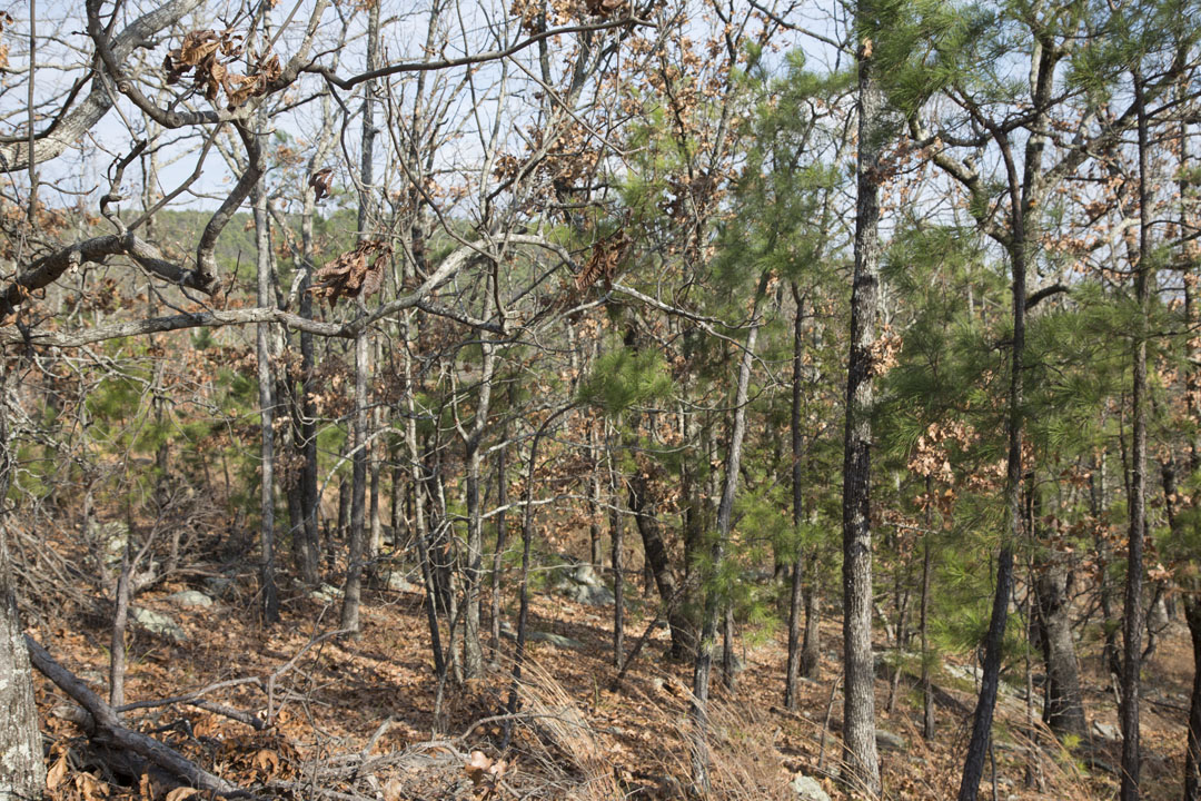 Tract 92 at Stone Creek Phase III in Latimer County, Oklahoma